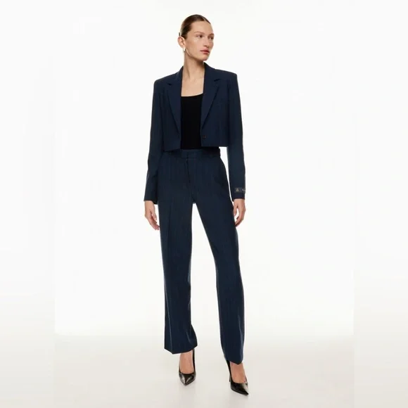 Aritzia Babaton Arbus Blazer - Picture 2 of 10